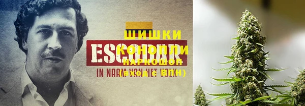 ешки Алзамай