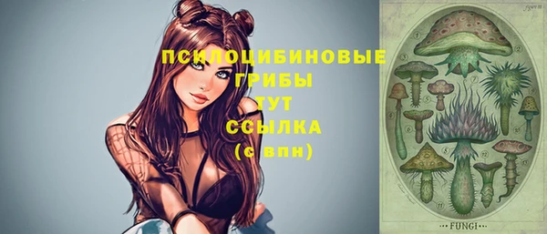 ALPHA-PVP Алексин