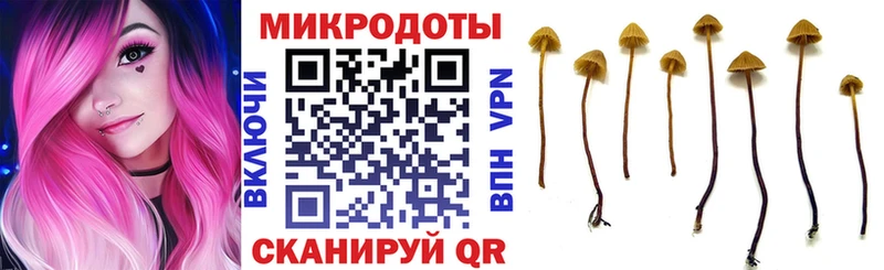 Галлюциногенные грибы Magic Shrooms Тара